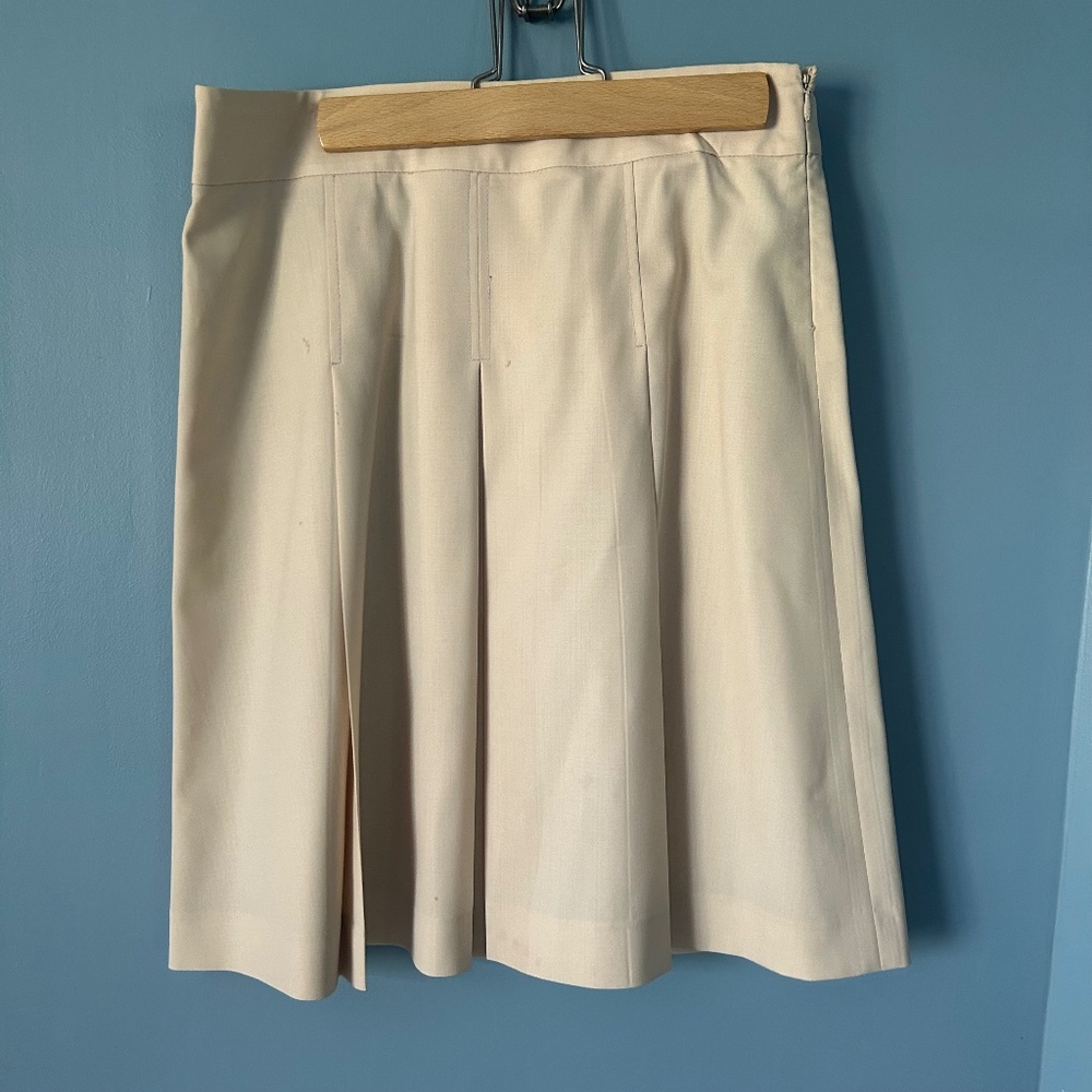 Theory Skirt- Drop Waist & Pleated. Size 4